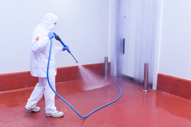 Best Restaurant Pressure Washing  in Lorado City, CO